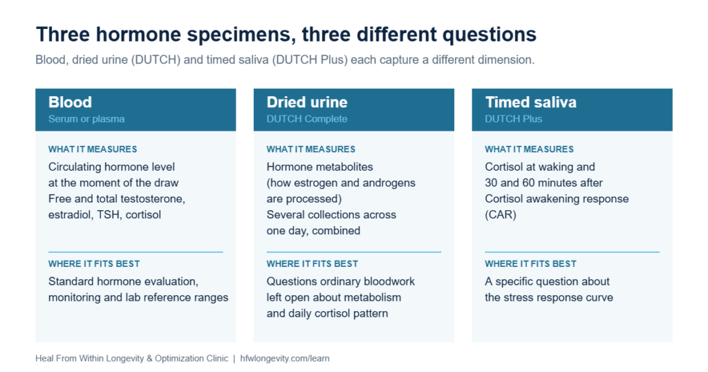 Three specimens compared: blood measures circulating concentration at one time, dried urine adds metabolites and a day-level view, and timed saliva captures the cortisol awakening response.