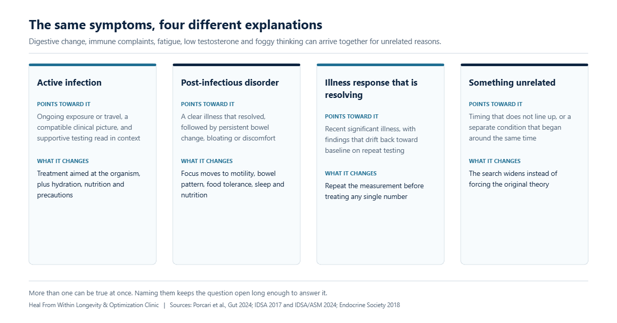 Four different explanations for the same cluster of digestive, immune, hormone and cognitive symptoms, each with the findings that would point toward it and what it changes about the plan.