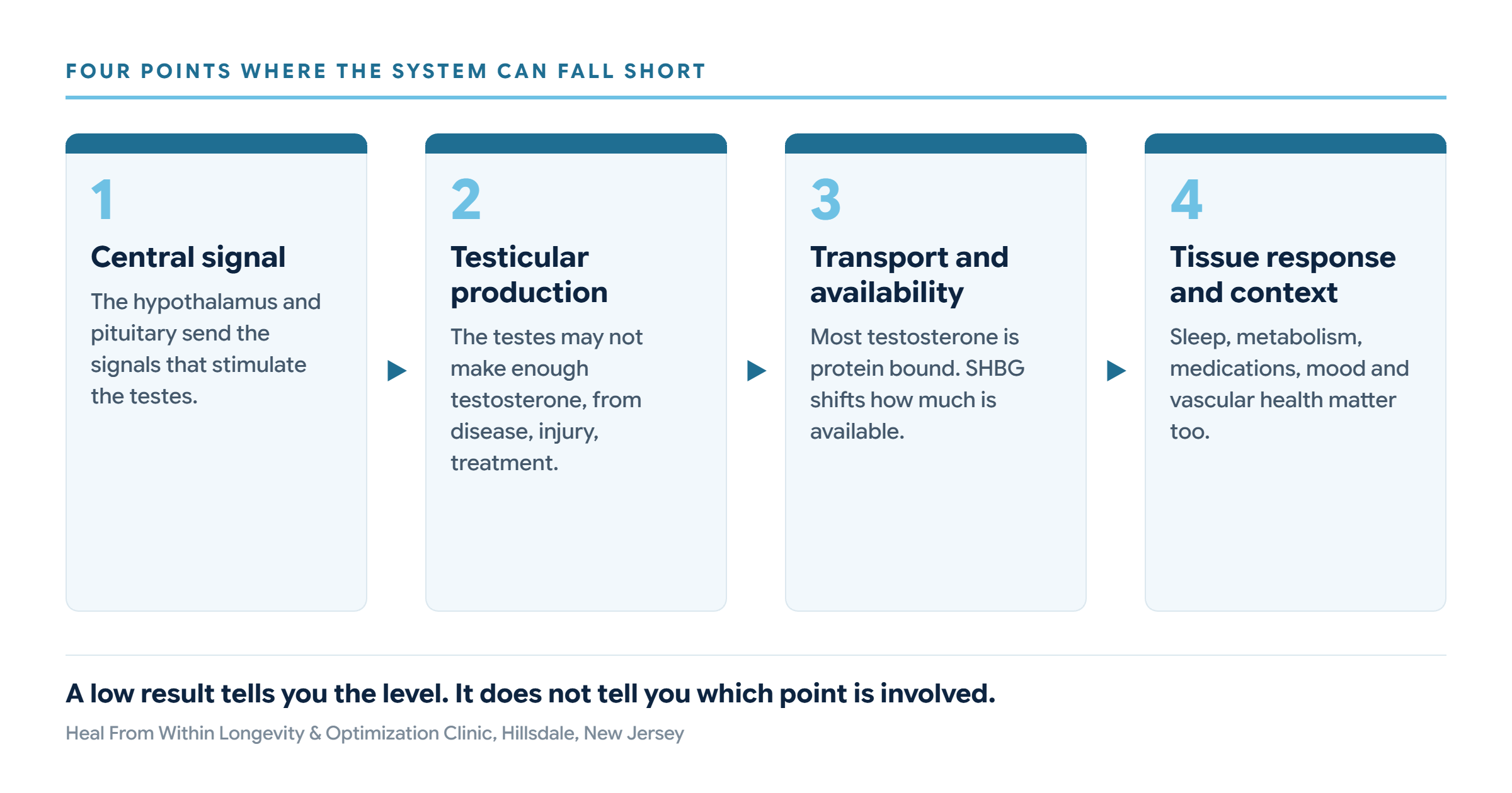Four labeled points in the testosterone system: central signal from the hypothalamus and pituitary, testicular production, transport and availability via SHBG, and tissue response and context.